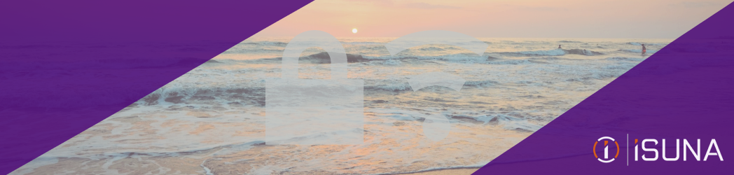 Mitigating Cybersecurity Risks for Businesses in Summer 2023
